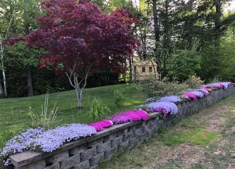 23 Cheney Lane Danville NH 03819
