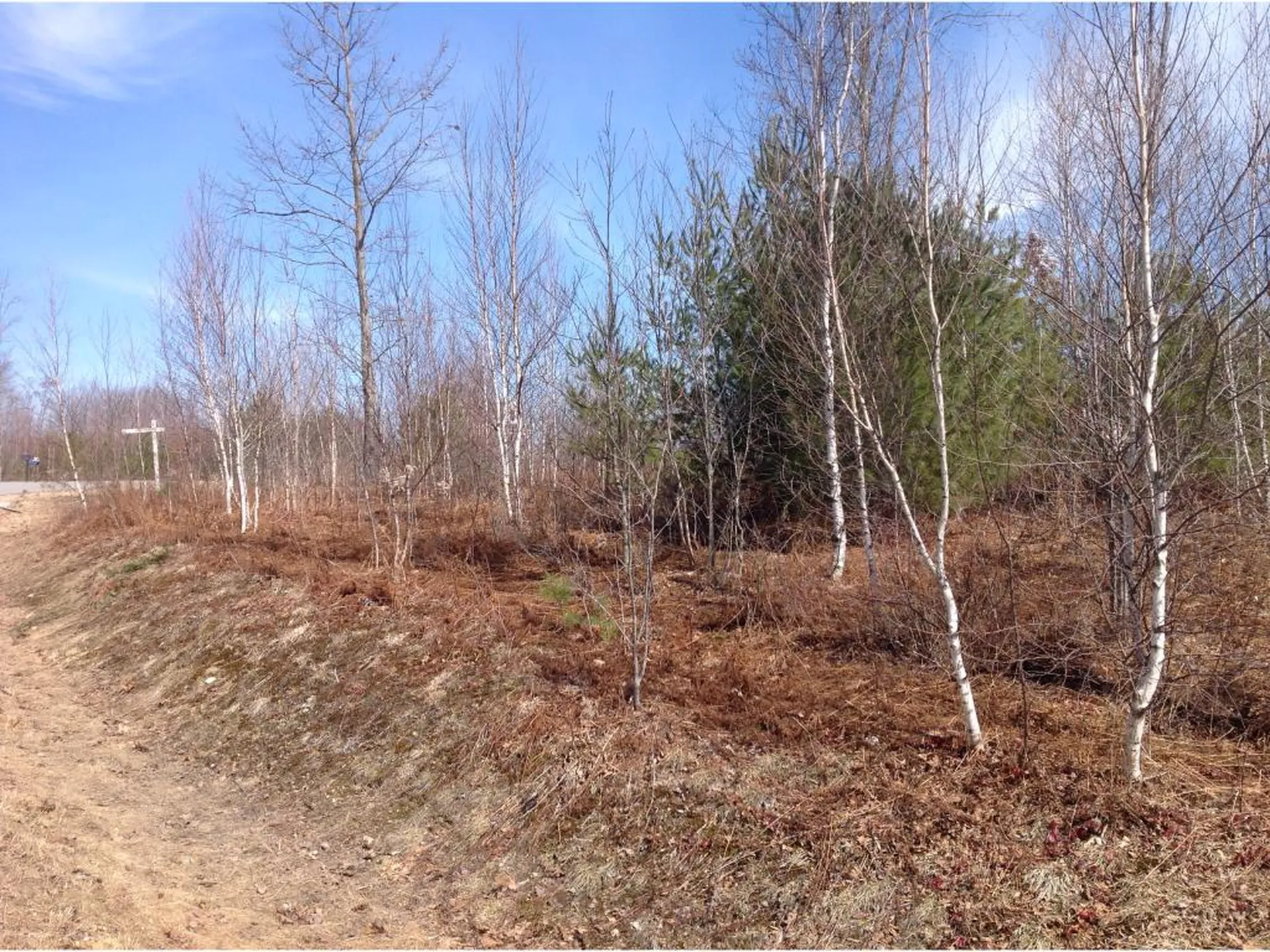 105 Deer Meadow Road Pittsfield NH 03263