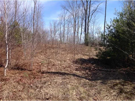 105 Deer Meadow Road Pittsfield NH 03263