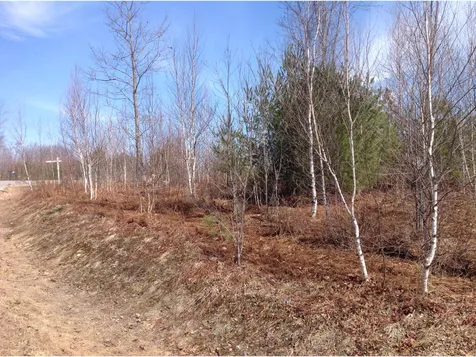105 Deer Meadow Road Pittsfield NH 03263