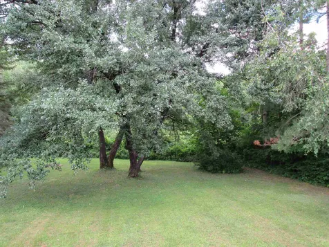 50 Meadow Road Chester VT 05143