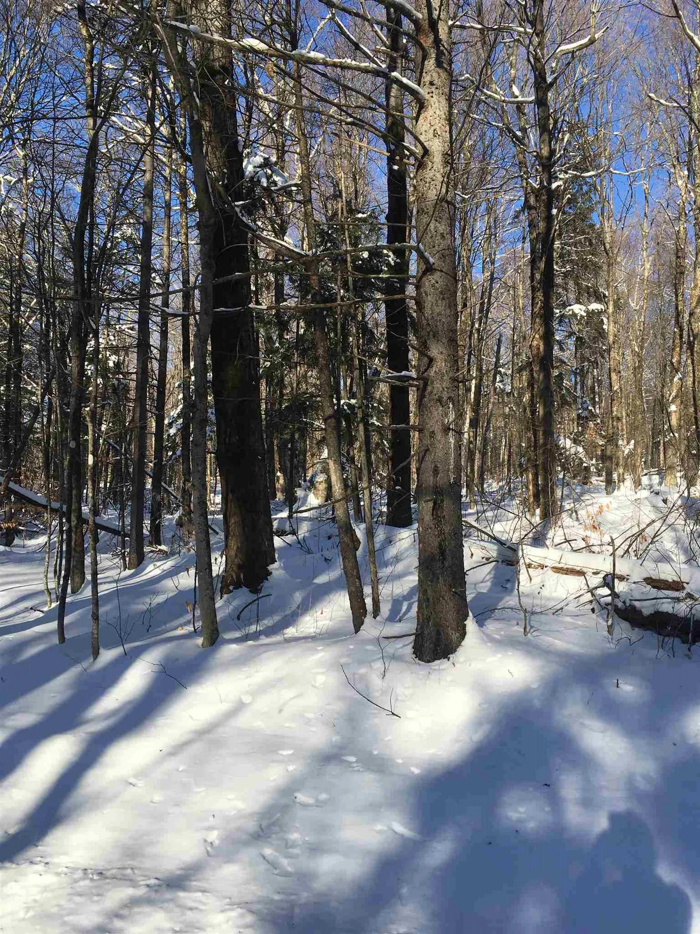 Phen Basin Road Fayston VT 05673