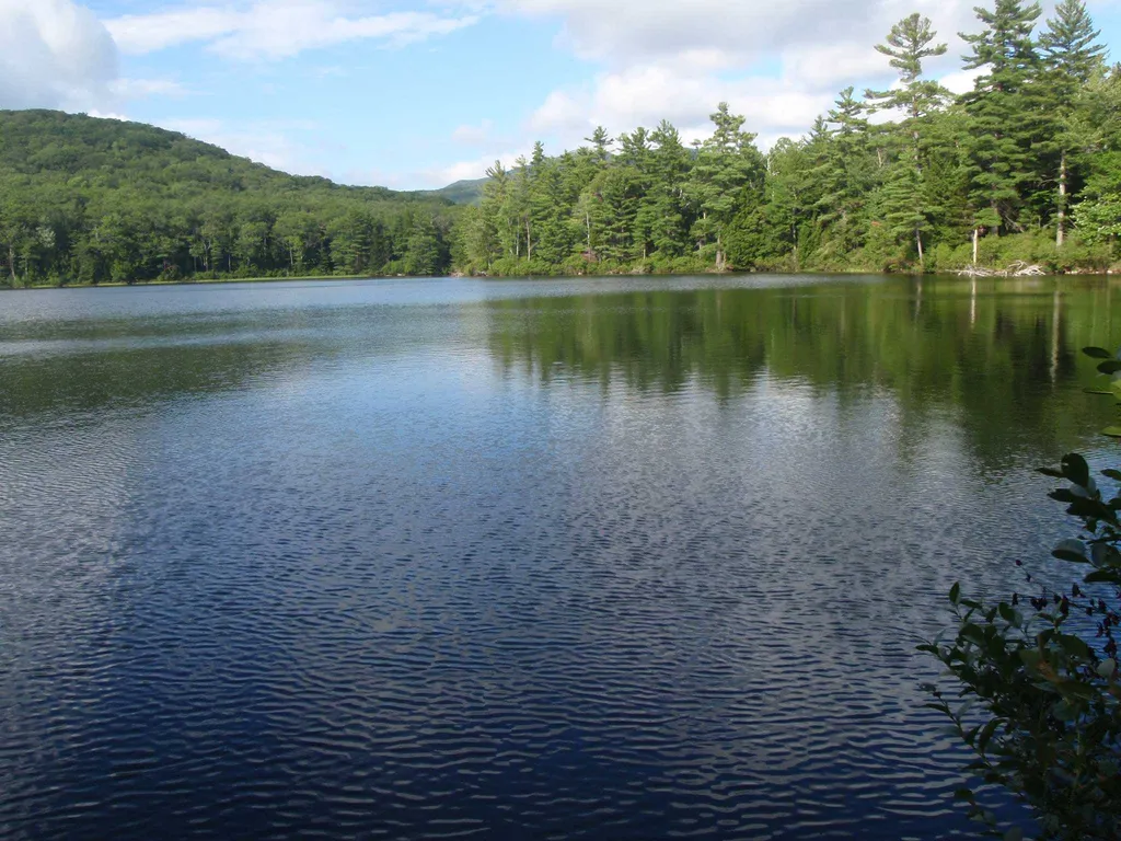 627 Tuttle Hill Road Orange NH 03741