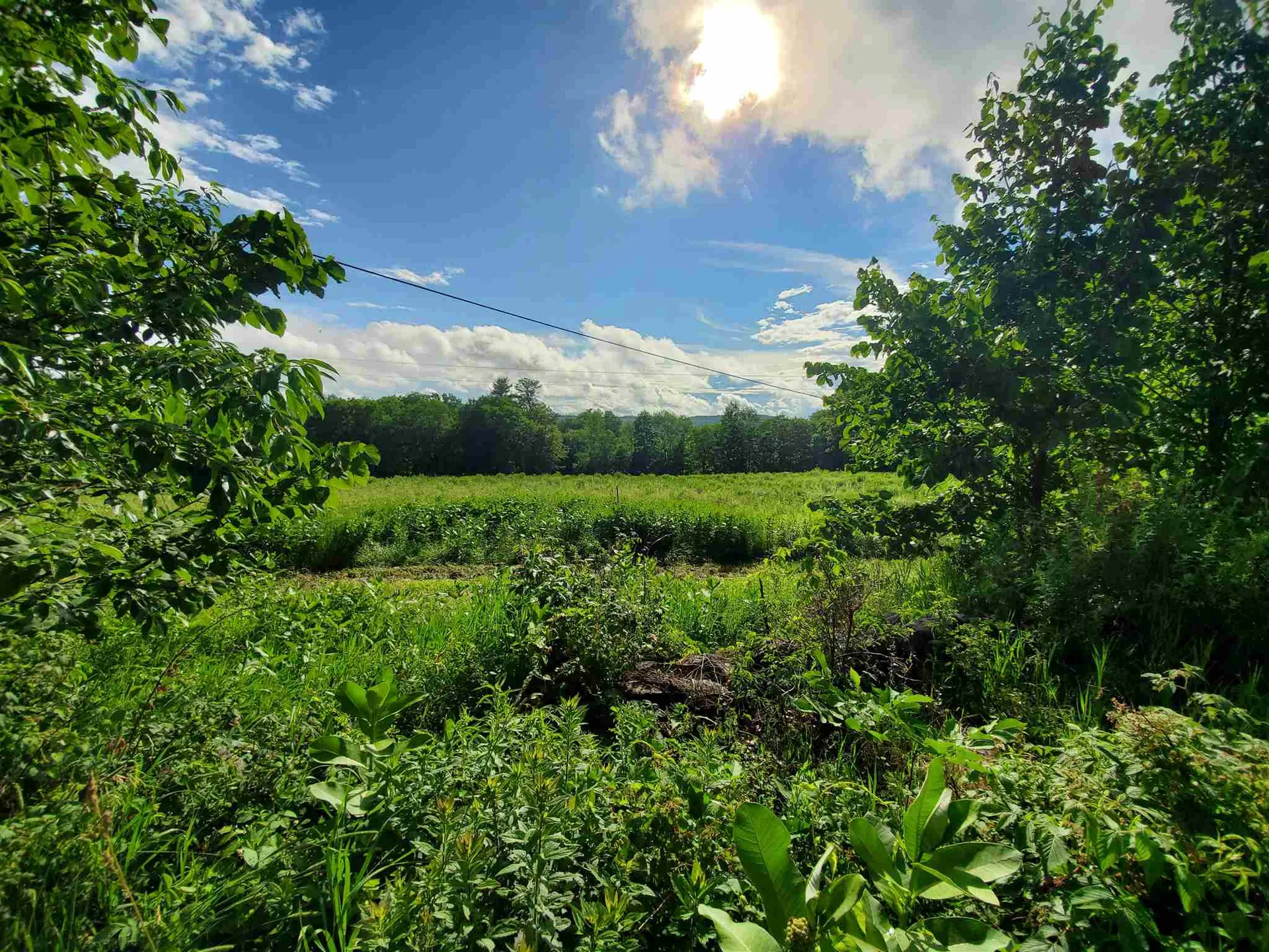 627 Tuttle Hill Road Orange NH 03741