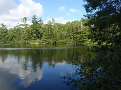 627 Tuttle Hill Road Orange NH 03741