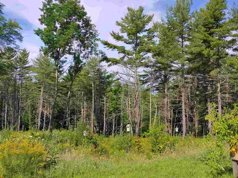 717 Carpenter Road Sharon VT 05065