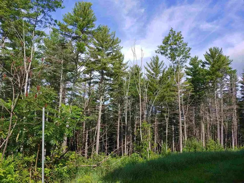 717 Carpenter Road Sharon VT 05065