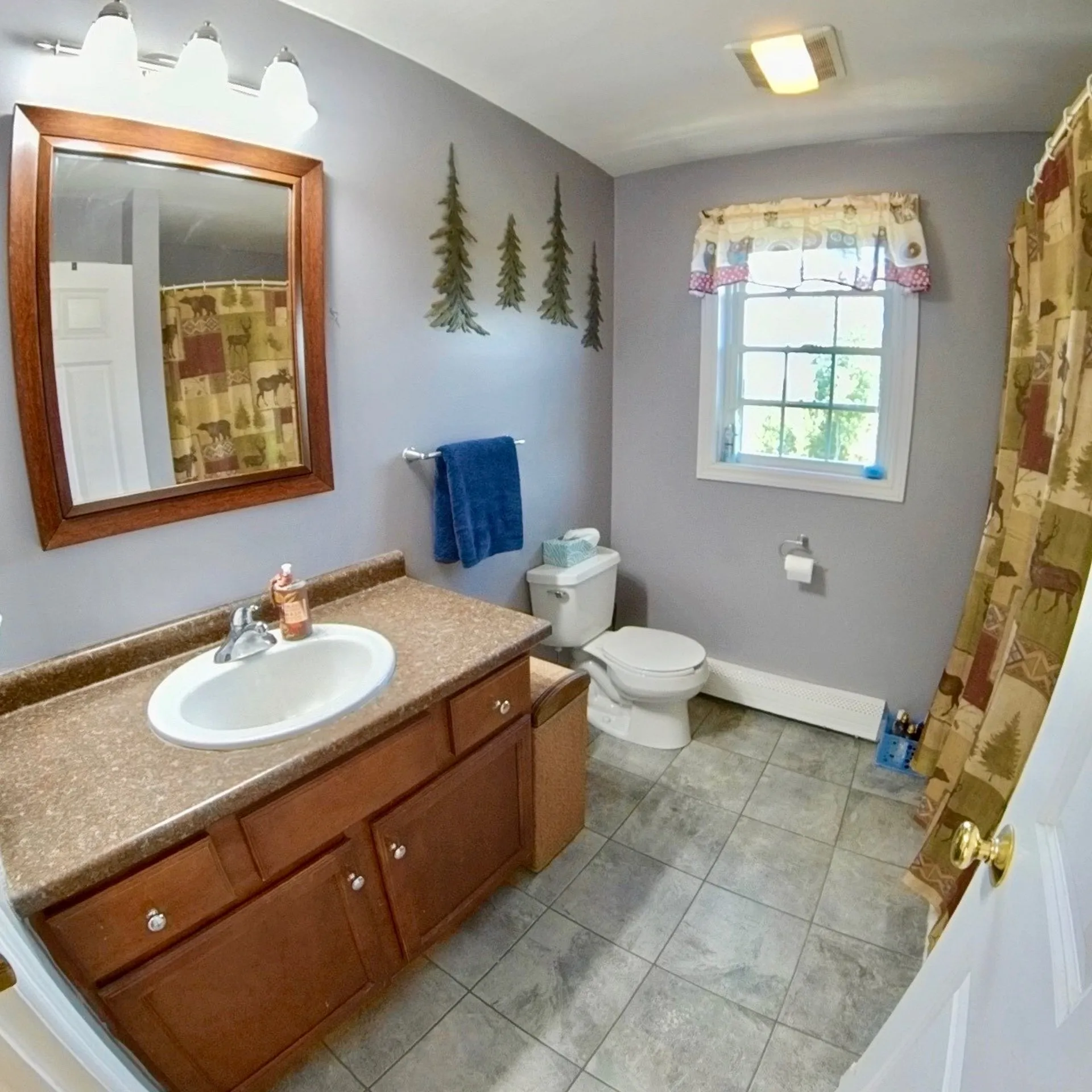 17 Chestnut Drive Allenstown NH 03275