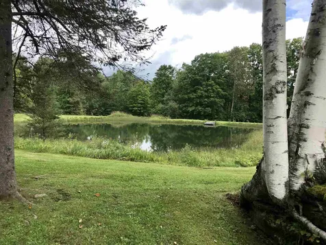 3767 Underpass Road Sutton VT 05867