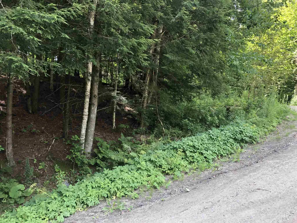 55 Dana Hill Road Waitsfield VT 05673