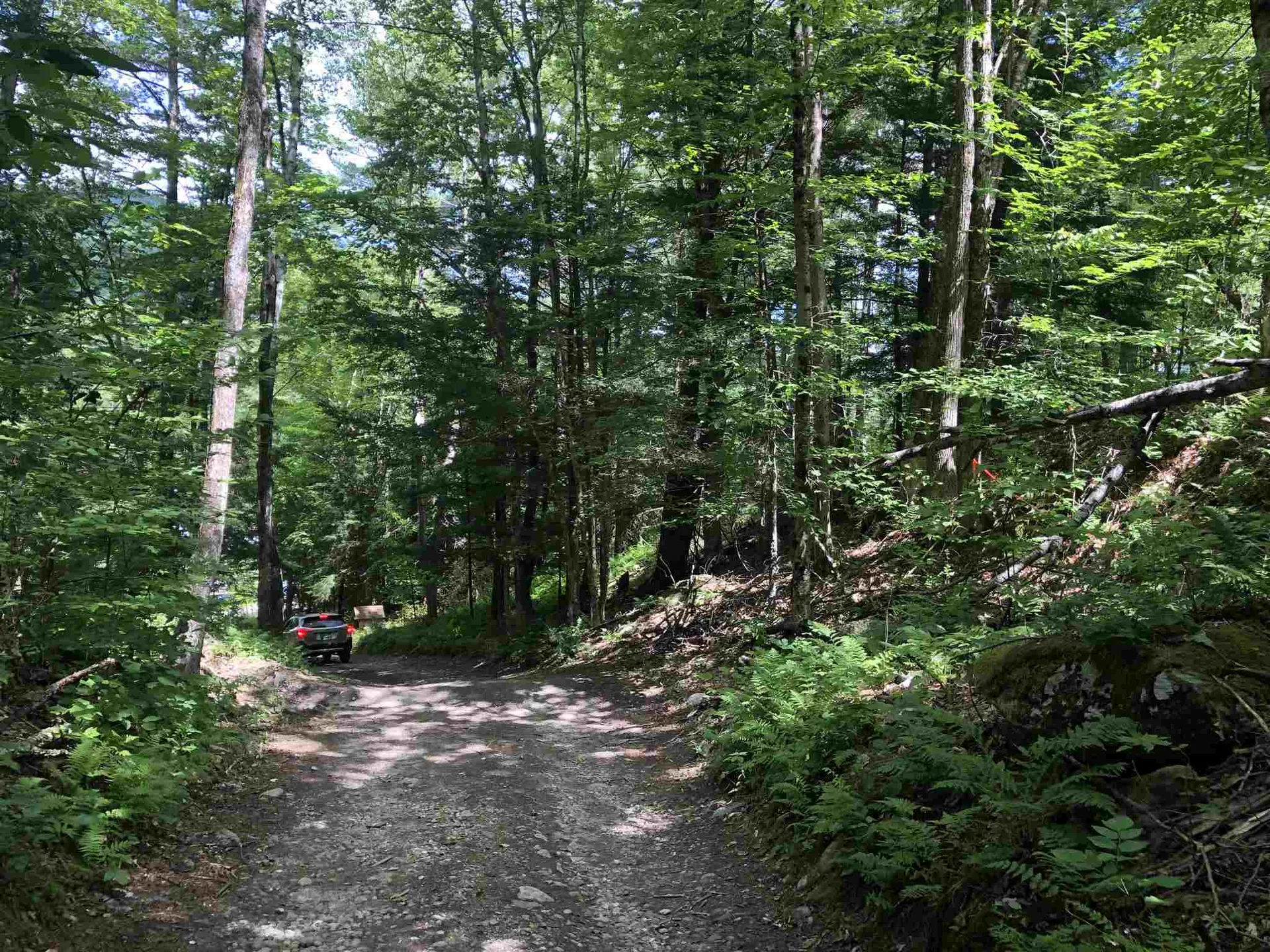 55 Dana Hill Road Waitsfield VT 05673