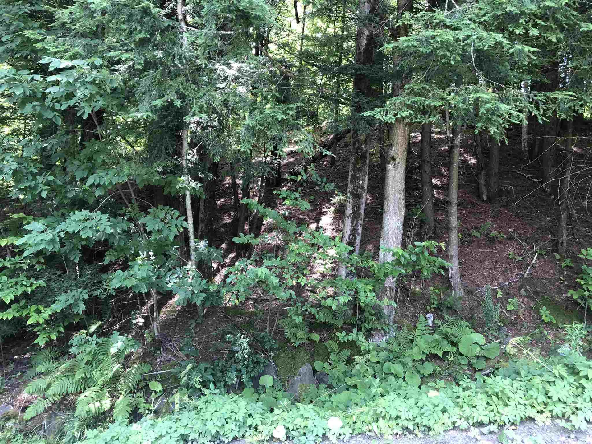 55 Dana Hill Road Waitsfield VT 05673