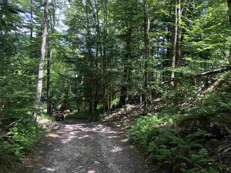 55 Dana Hill Road Waitsfield VT 05673