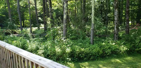 21 Hidden Pines Extension Richmond VT 05477