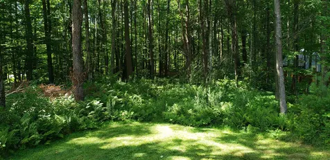 21 Hidden Pines Extension Richmond VT 05477