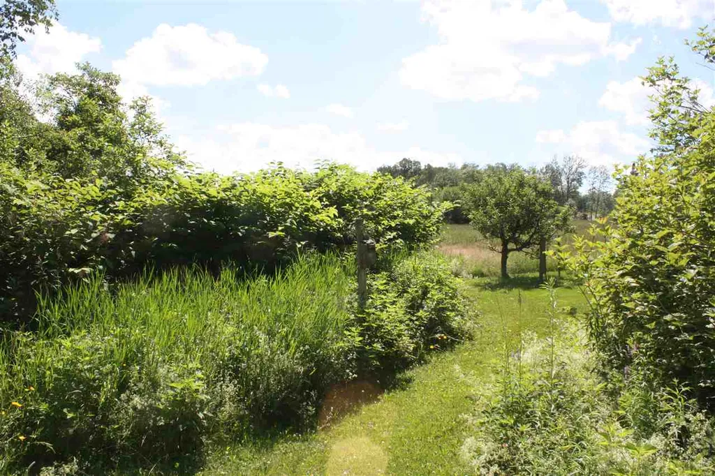 188 White Hill Loop Morgan VT 05853