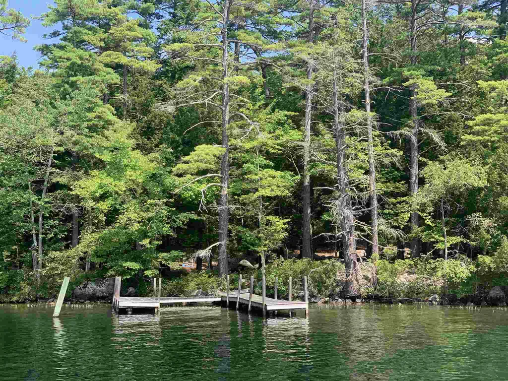 88 Cow Island Tuftonboro NH 03816