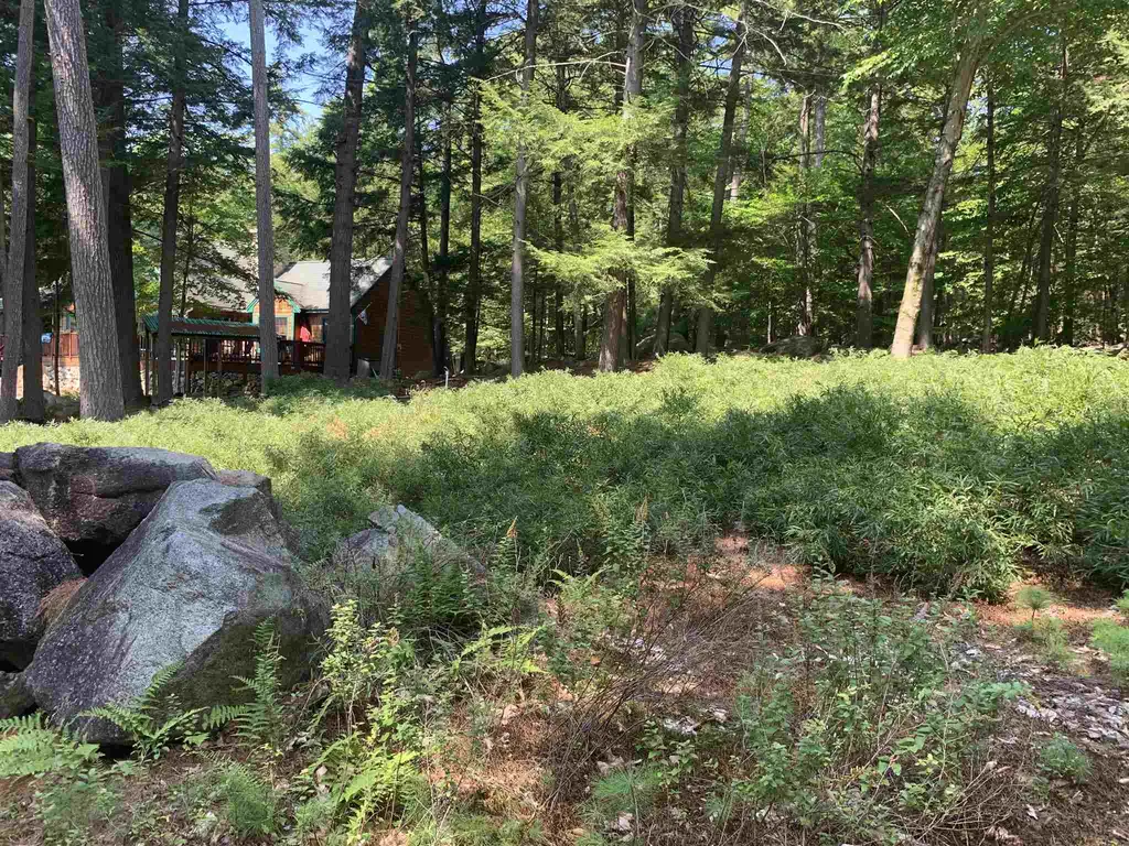 88 Cow Island Tuftonboro NH 03816