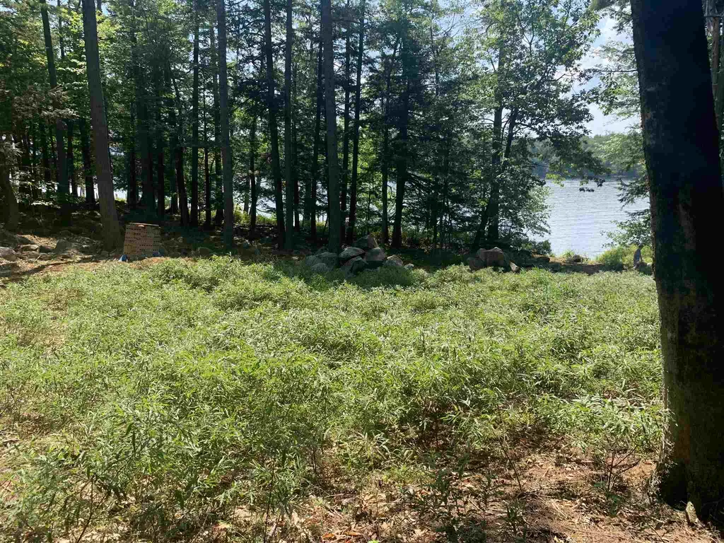 88 Cow Island Tuftonboro NH 03816