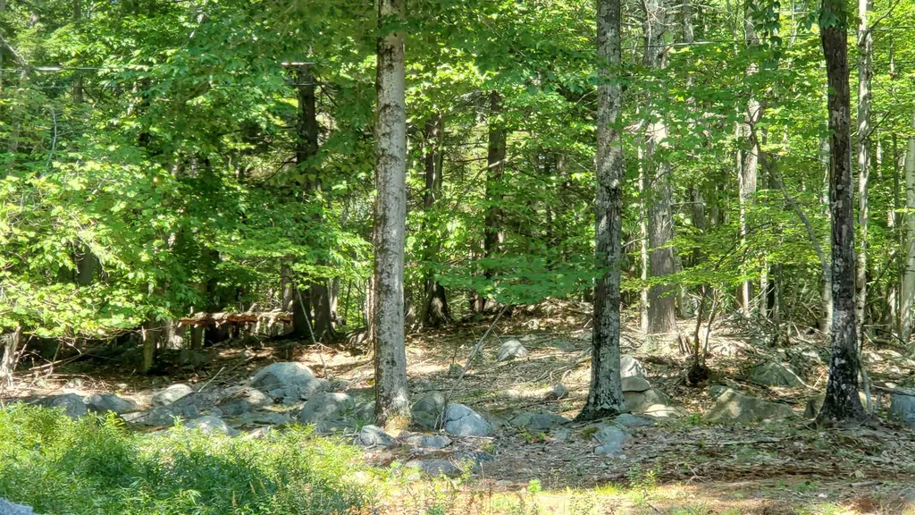 88 Cow Island Tuftonboro NH 03816