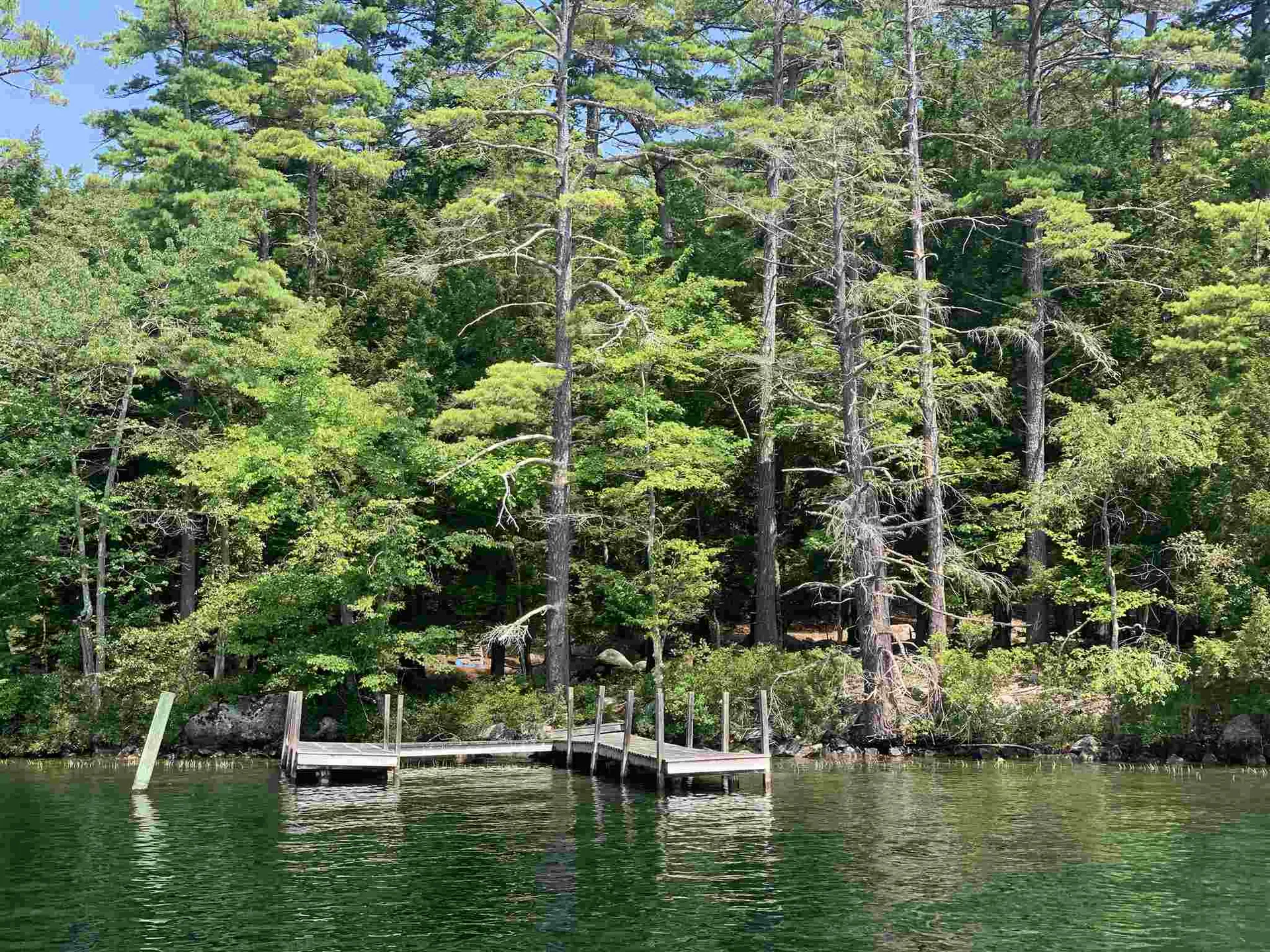 88 Cow Island Tuftonboro NH 03816