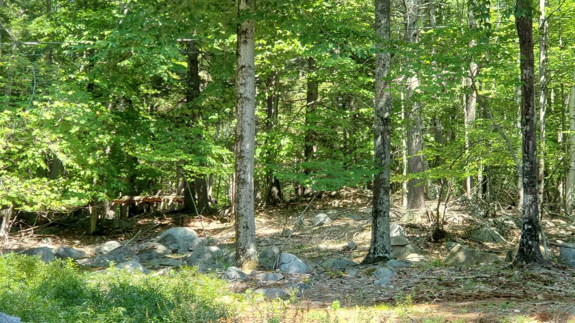 88 Cow Island Tuftonboro NH 03816