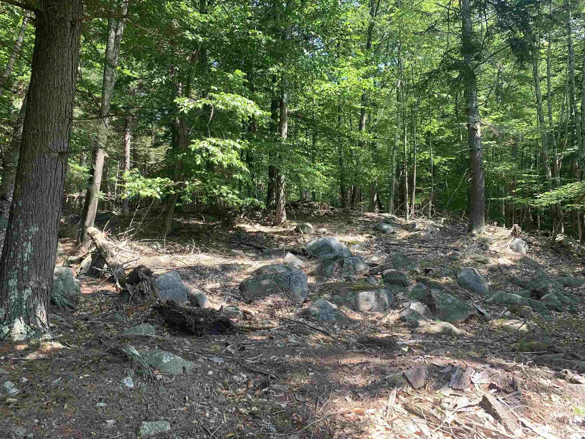 88 Cow Island Tuftonboro NH 03816