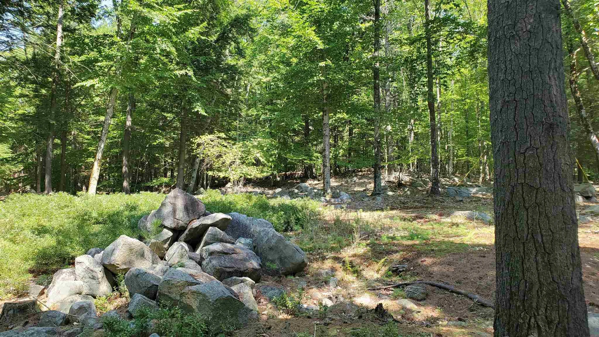 88 Cow Island Tuftonboro NH 03816