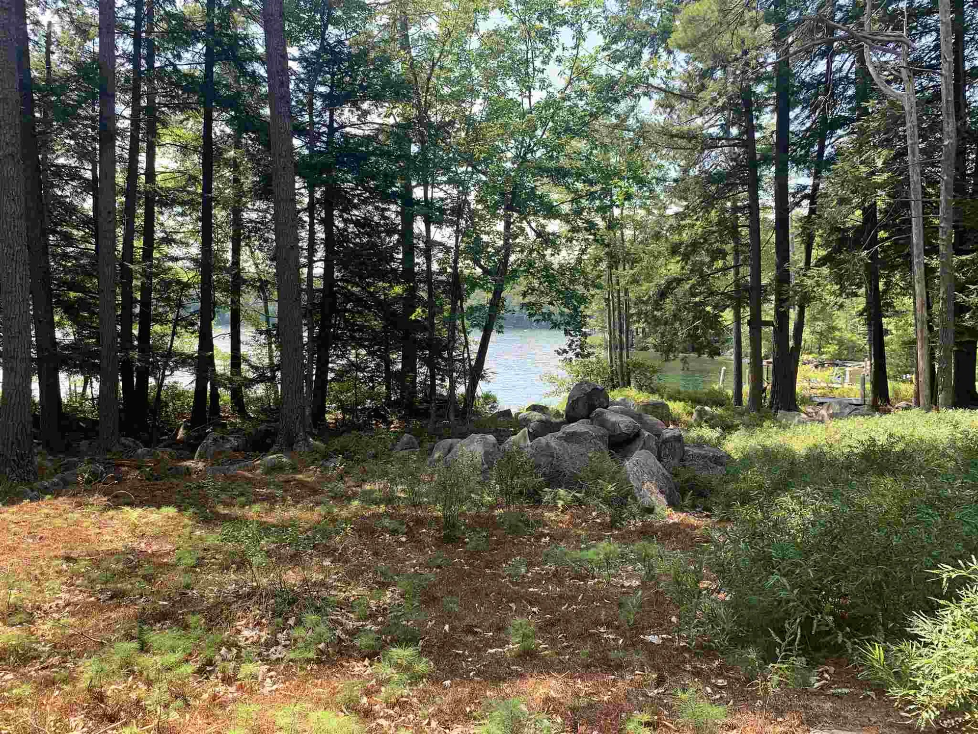 88 Cow Island Tuftonboro NH 03816