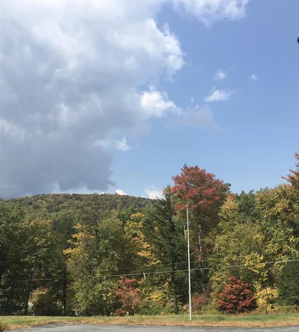 88 Duke Road Newfane VT 05345