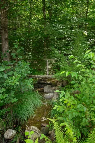 88 Duke Road Newfane VT 05345