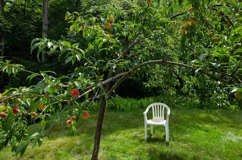88 Duke Road Newfane VT 05345
