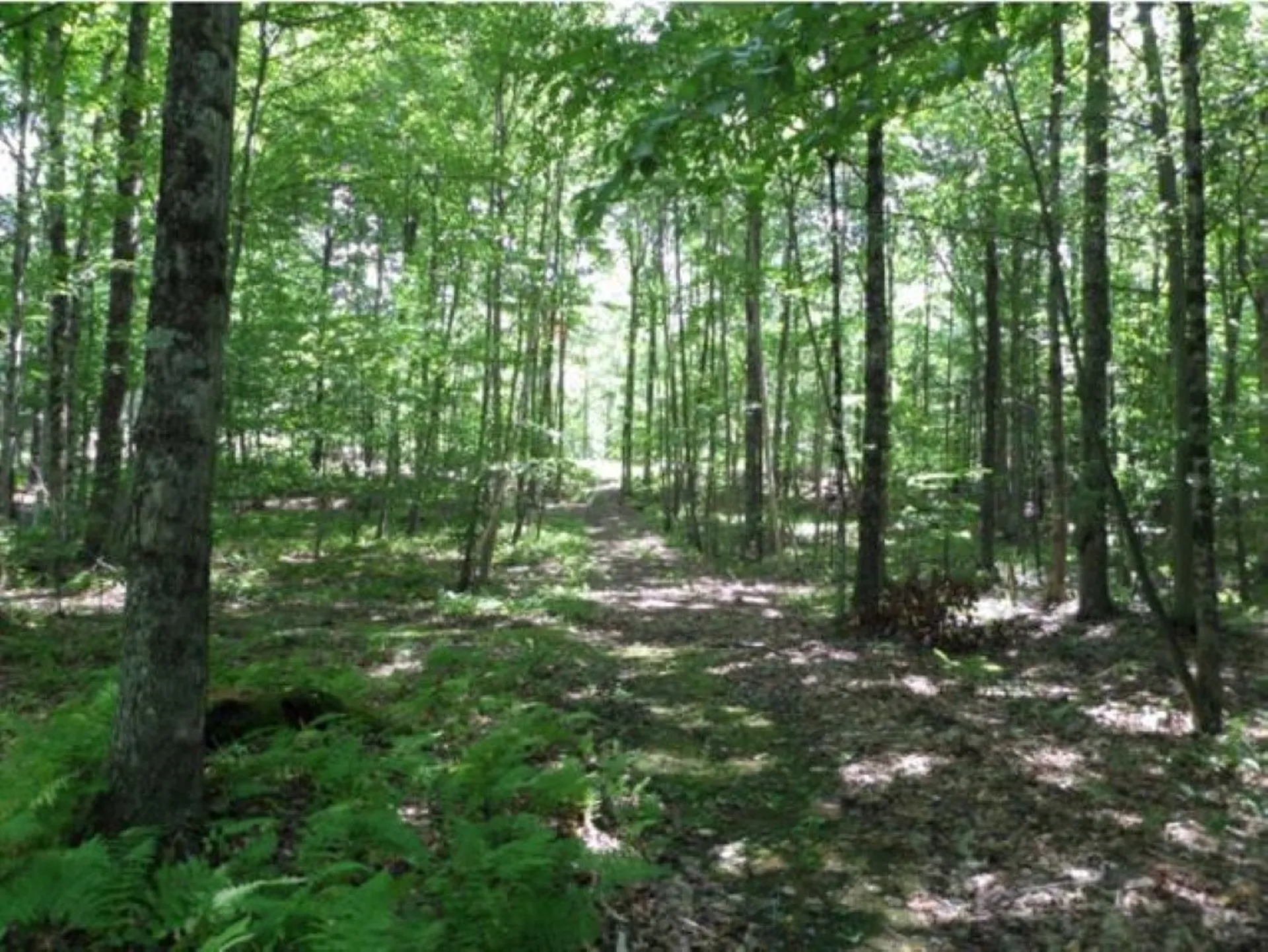 368 Olde Pine Lane Wallingford VT 05773