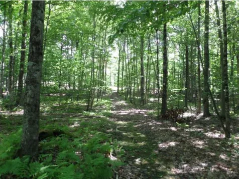 368 Olde Pine Lane Wallingford VT 05773