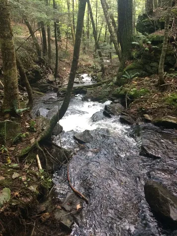 390 Pleasant Valley Road Brattleboro VT 05301