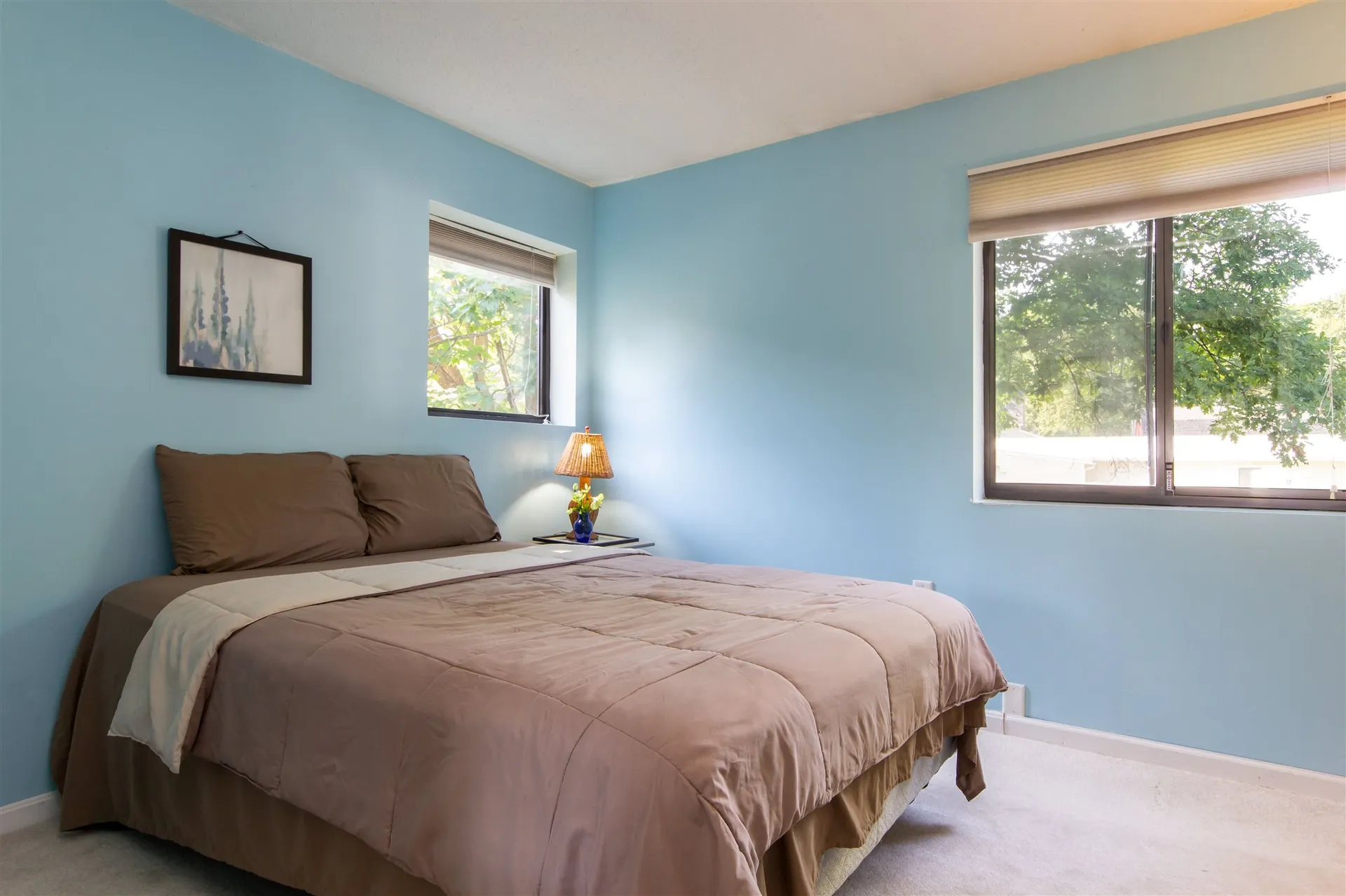 209 Pearl Street Essex VT 05452