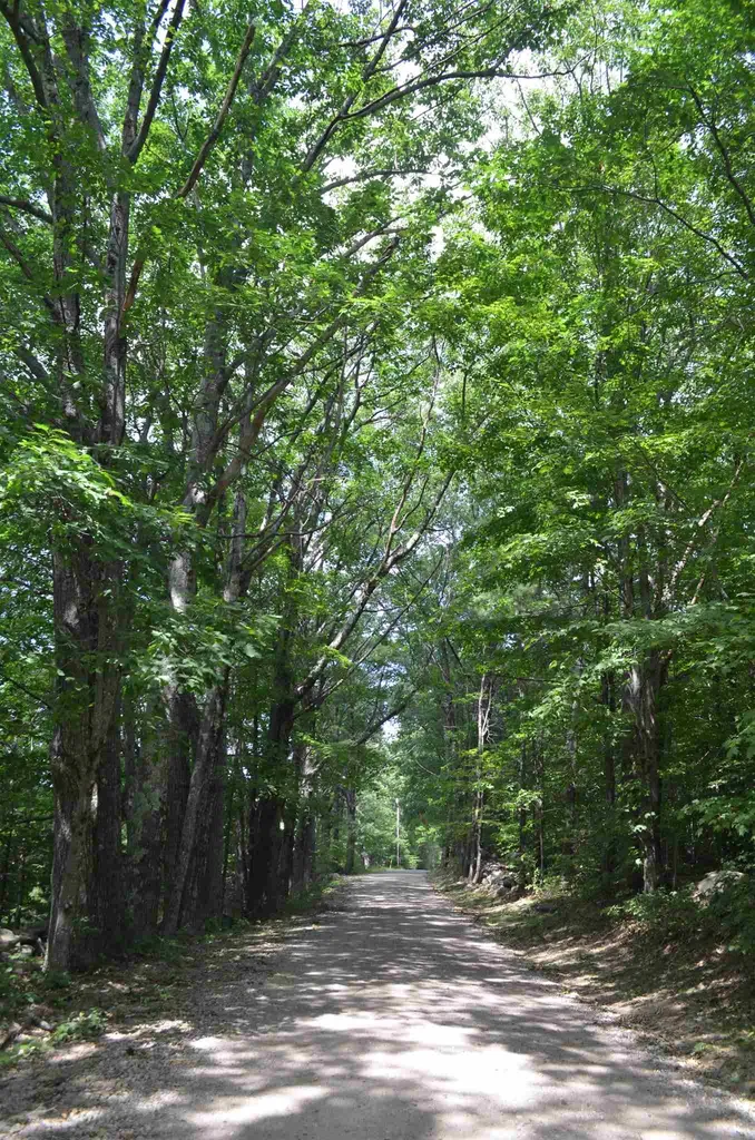 66 Colleague Pond Road Henniker NH 03242