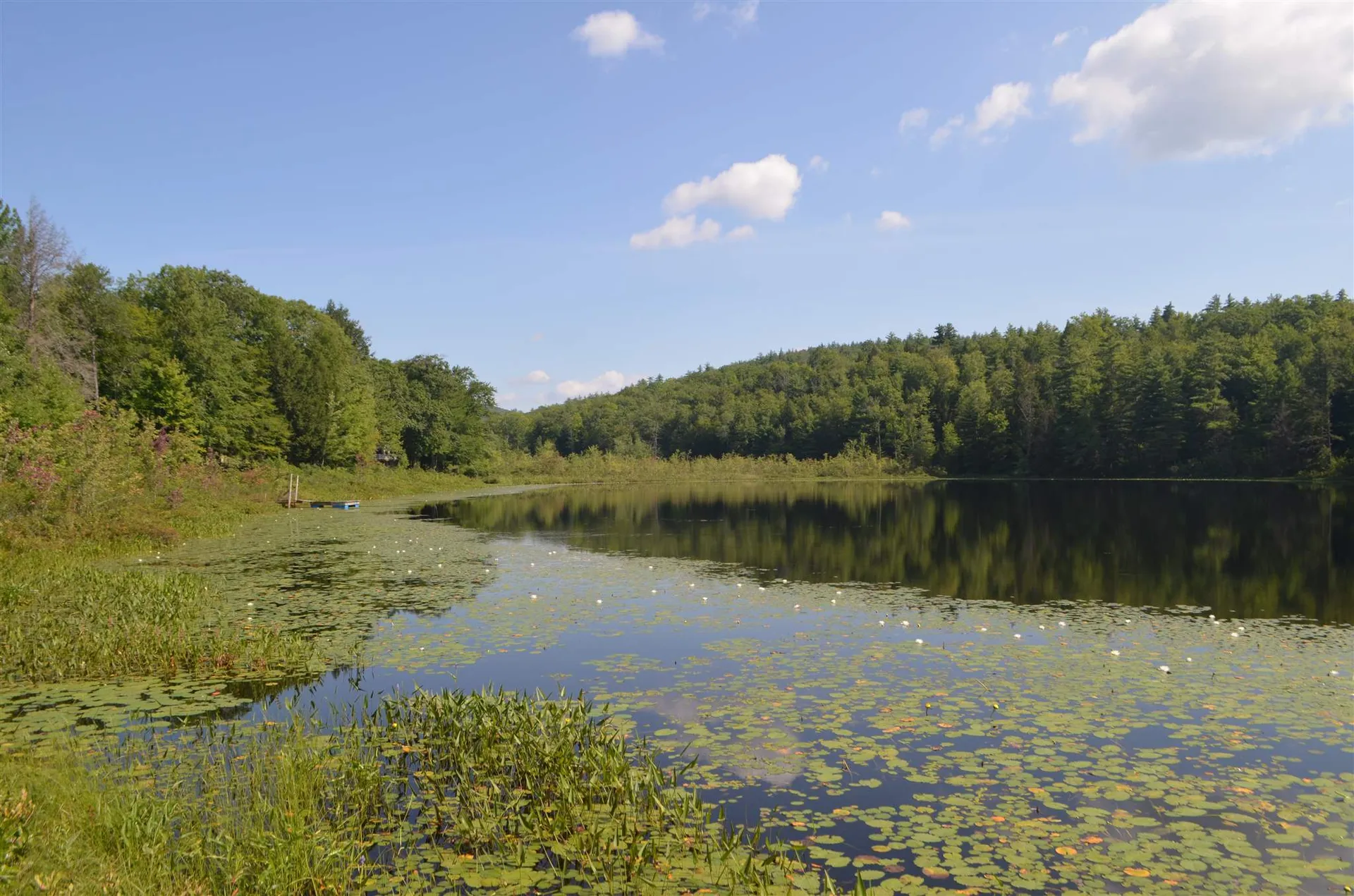 66 Colleague Pond Road Henniker NH 03242