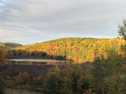66 Colleague Pond Road Henniker NH 03242