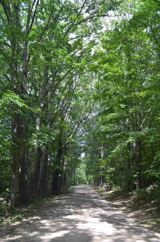 66 Colleague Pond Road Henniker NH 03242