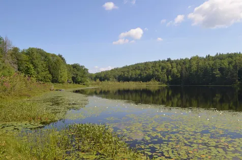 66 Colleague Pond Road Henniker NH 03242