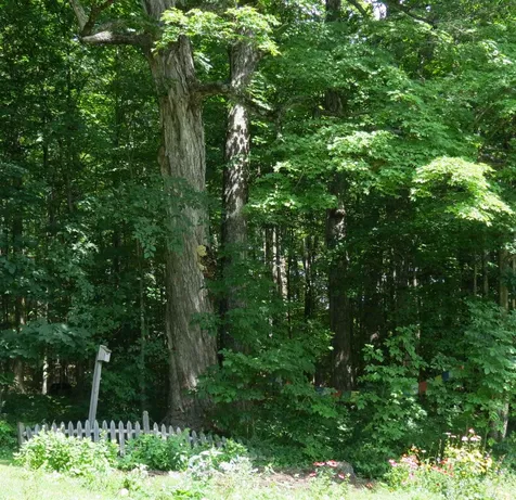 36 Mooney Road Wallingford VT 05773