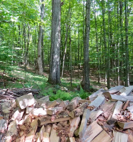 36 Mooney Road Wallingford VT 05773