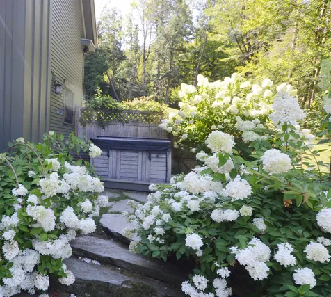 561 Glen Brook Road Stowe VT 05672