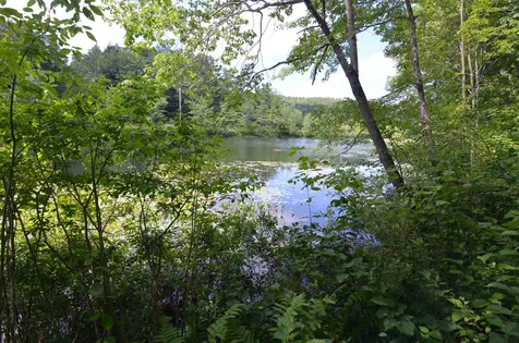 56 Lake Pauline Road Ludlow VT 05149