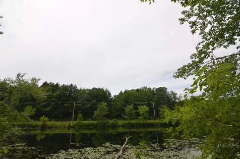56 Lake Pauline Road Ludlow VT 05149