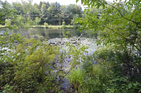 56 Lake Pauline Road Ludlow VT 05149