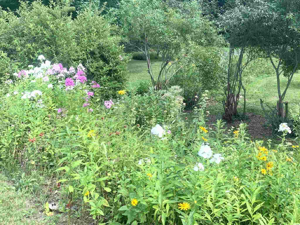 143 Witherell Lane Manchester VT 05254