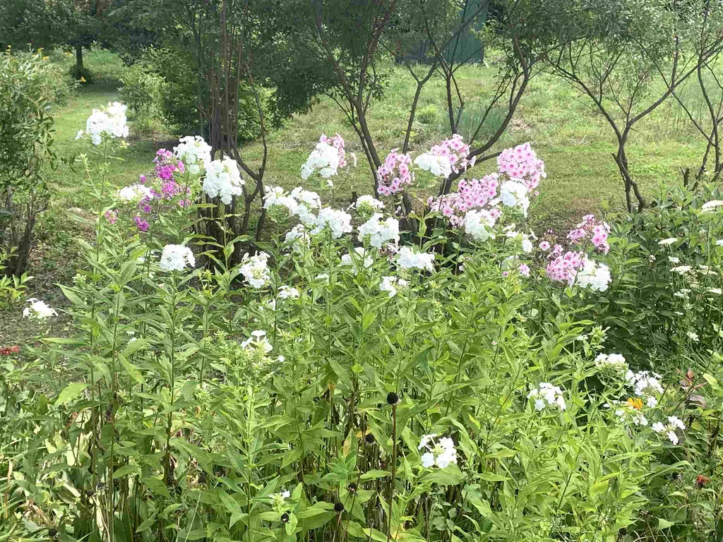 143 Witherell Lane Manchester VT 05254