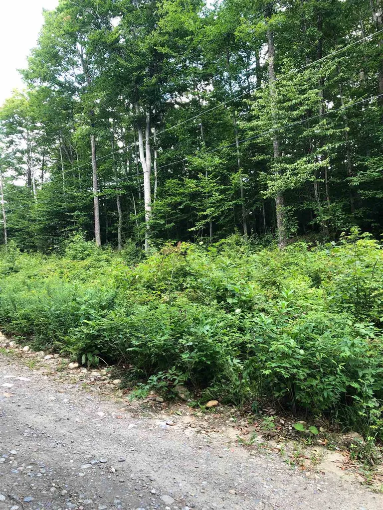 36 Tom's Cabin Road Dover VT 05356